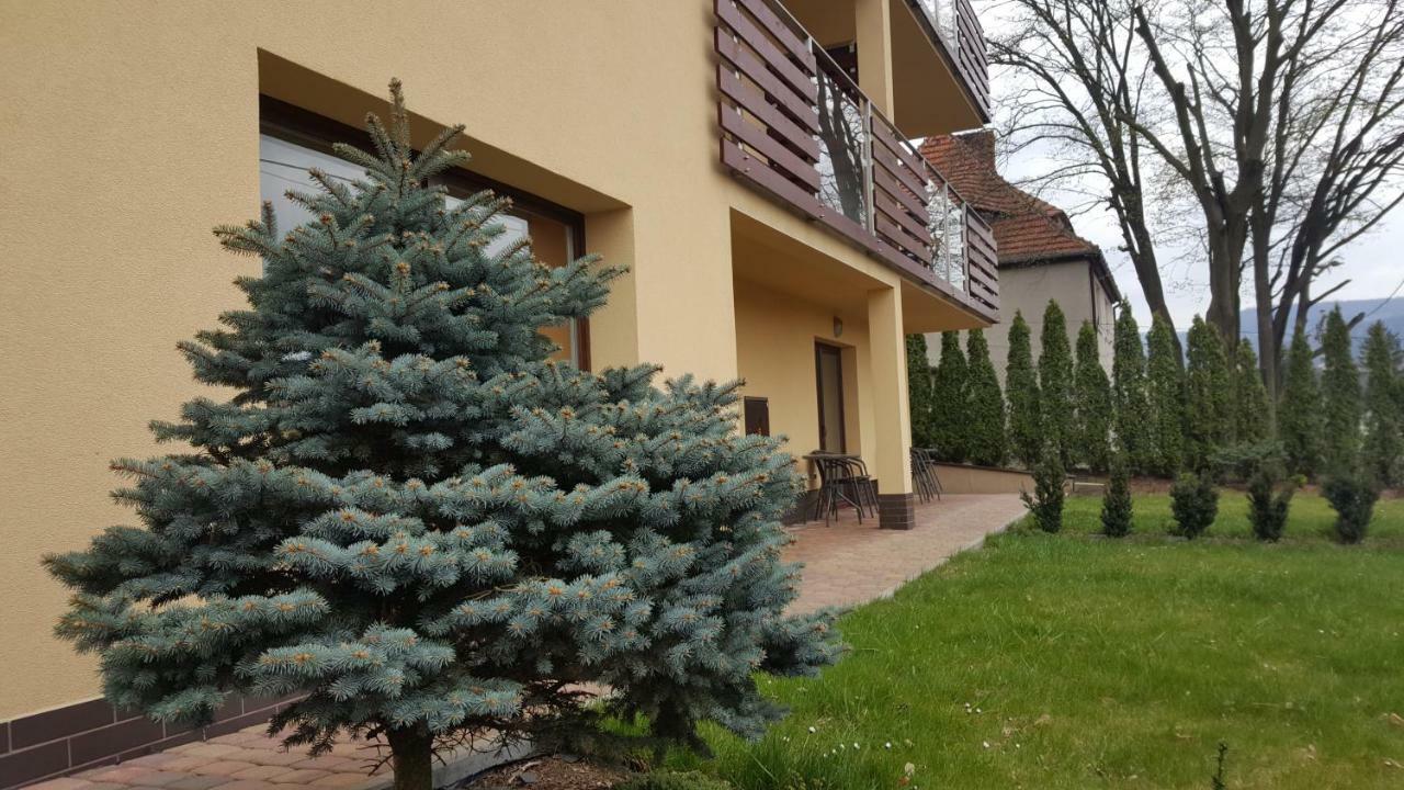 Apartament Z Widokiem-Blizej Zdroju Поляница-Здрой Екстериор снимка